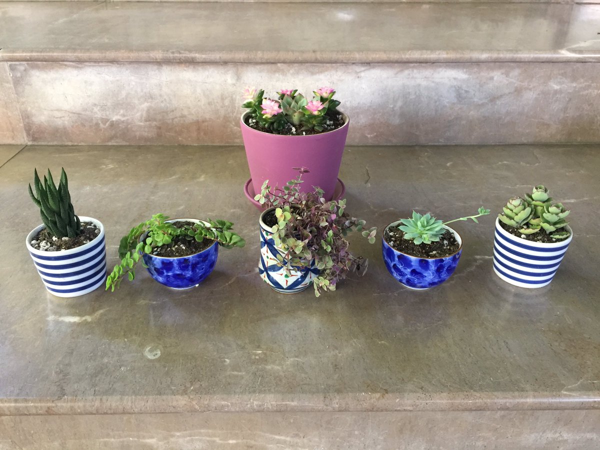 Patrin Watanatada ภัทริน วัธนธาดา tweet media