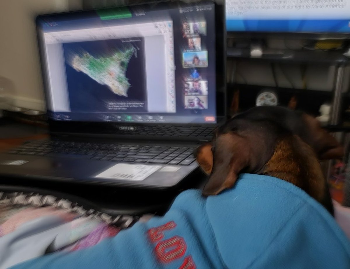 andreaacostaphd's tweet photo. Rhea's first academic conference! She's taking *mental* notes #AIASCSpets https://t.co/cBQWIcFOAZ
