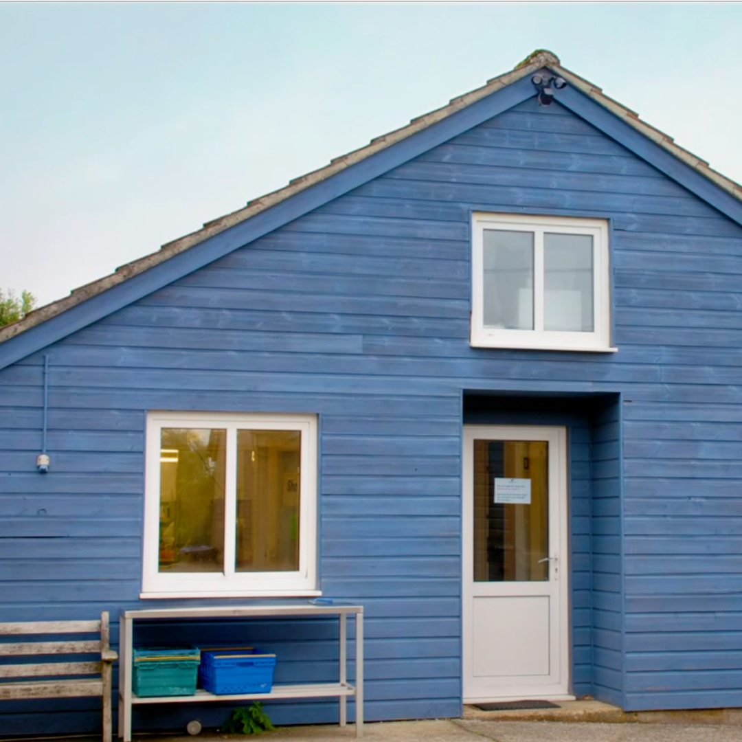 Mere Trout tweet media