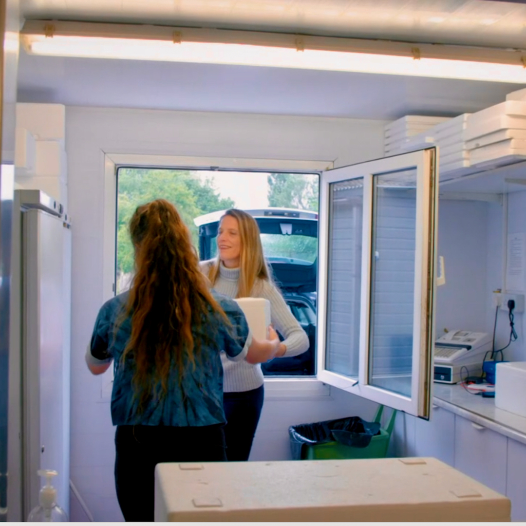 Mere Trout tweet media