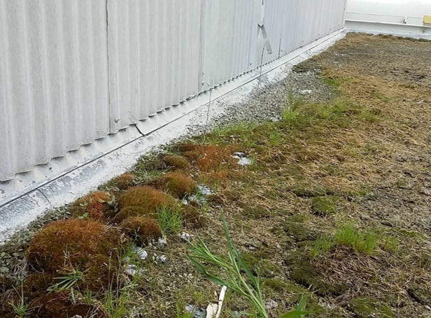 Learn more about these 4 common types of roof repairs ow.ly/CwZG50CSr92