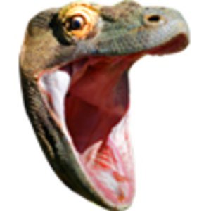 TOBSCoGaming's tweet photo. @FellowWeevil This is a KomodoHype moment https://t.co/YIIcBoc6nn