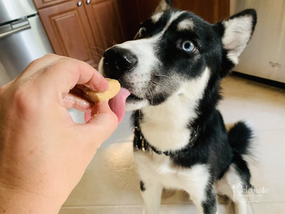 DiscoverSelf's tweet photo. Hydrate Your Puppy with these Easy-to-Make #Popsicles and use them as a #Snack, too. Grab a few #Dog #Pupsicles #Recipes in this post. #pets #dogsoftwitter #dogs #hydration #dogpopsicles #snacks https://t.co/SdgMtTOHRy https://t.co/cl4bqCP8Jr