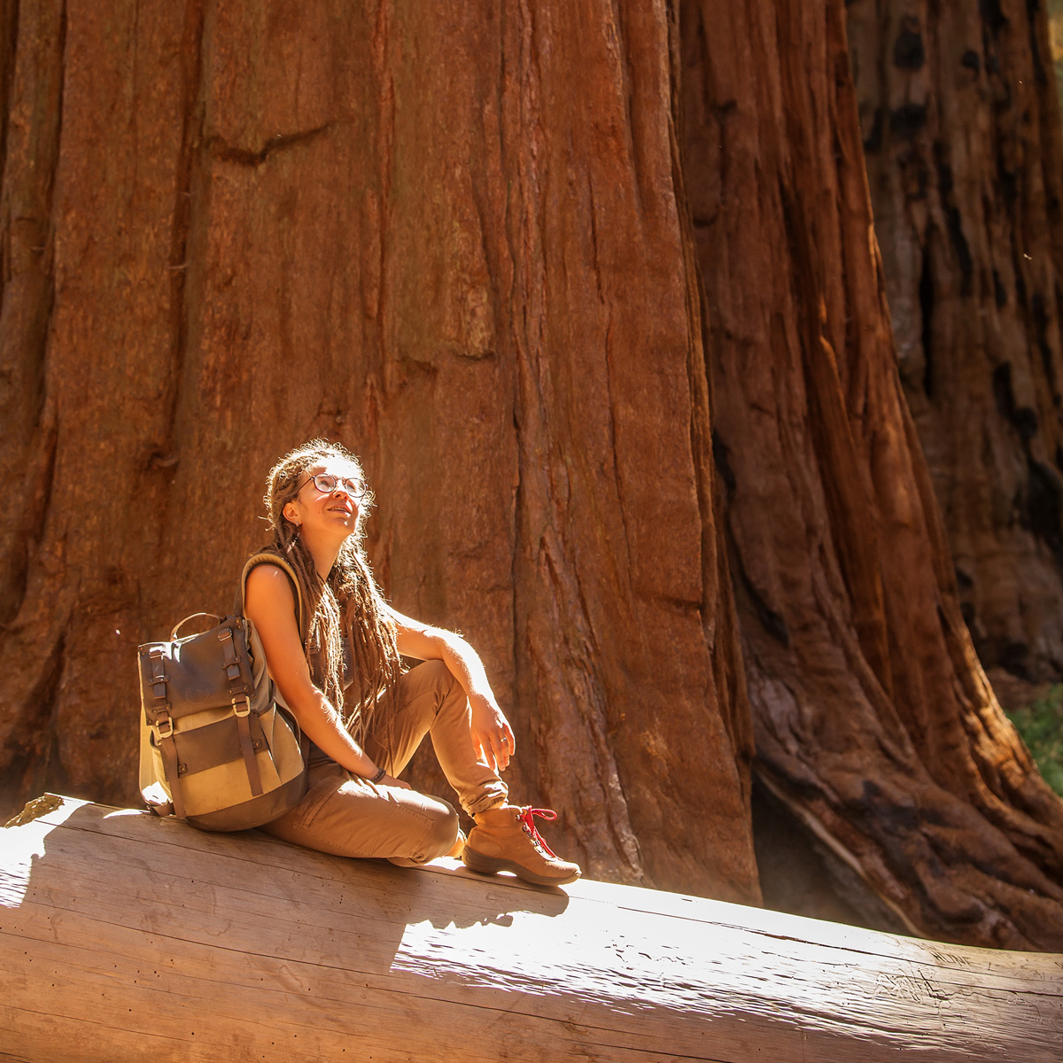 SequoiaTourism's tweet photo. 10 THINGS YOU MIGHT NOT KNOW ABOUT GIANT SEQUOIAS.

No. 2 in our series is SIZE. Growing 20-26 feet in diameter, and 164-279 feet tall, the limbs of a giant sequoia can reach eight feet in diameter and 100 feet in length.

For more info visit http:/www.sequoiavisitorsguide.com https://t.co/vVPawiD54l