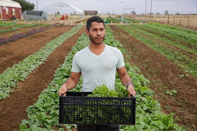 austin360's tweet photo. “I never thought I could work a whole day without alcohol, but now I’m the first one out there and the last to come back in.” 

Men with addictions have found community, self-worth at this Elgin recovery farm https://t.co/1J06Pxptbe https://t.co/yCwaA0u8J5