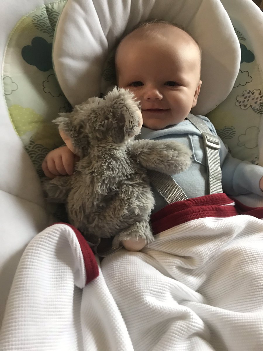 tc158's tweet photo. Jett says TGIF! Got my elephant let’s go! @cking870 https://t.co/uqSYCYrTFE