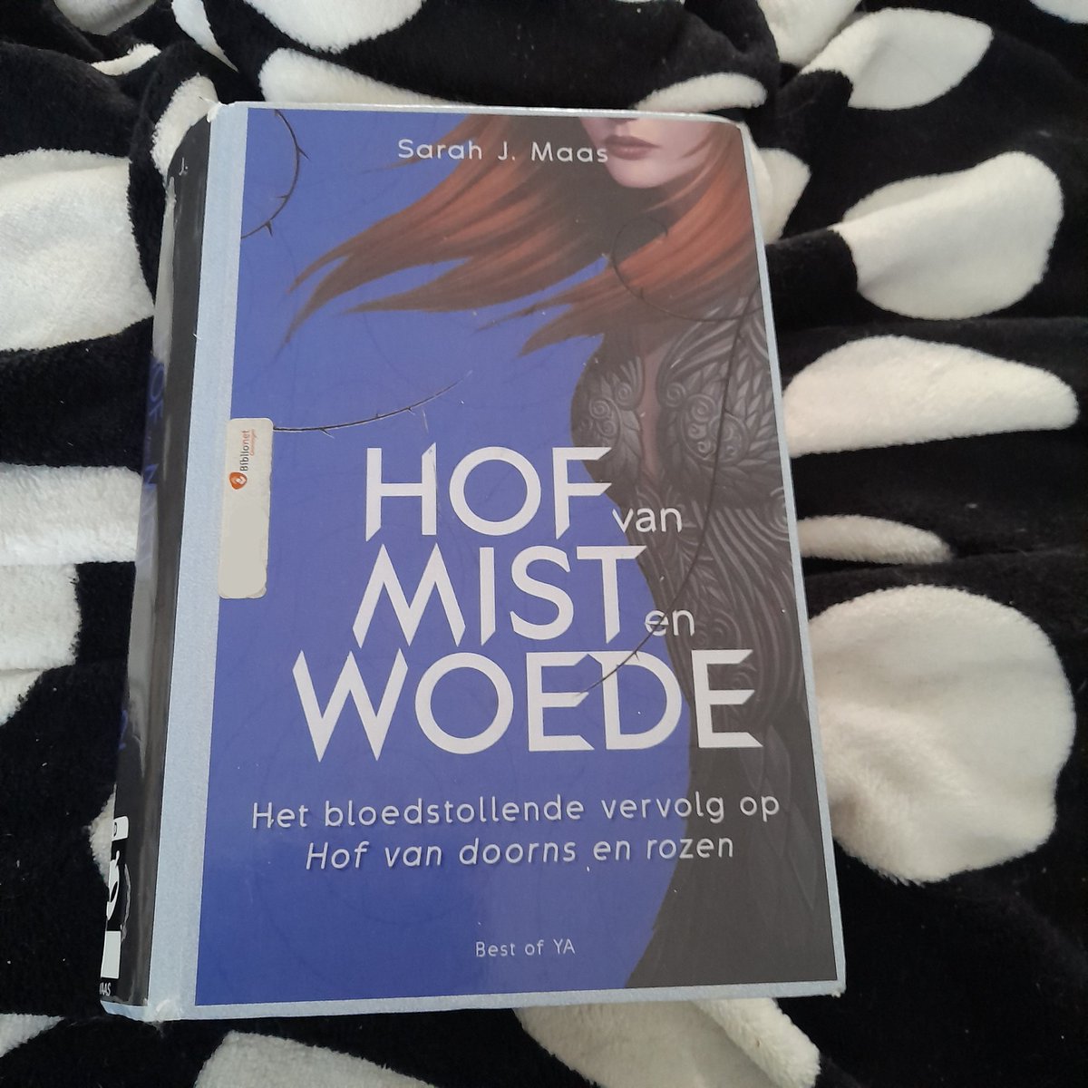 <a href="/carnivalathon/">Carnivalathon</a> This fits for The Fireworks show I think. 😁
#carnivalathon #acourtalong