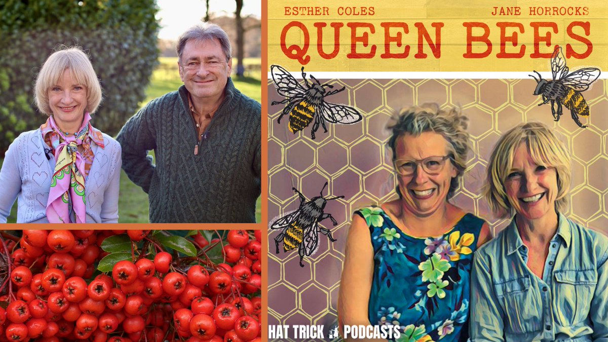 HatTrickProd's tweet photo. Queen Bees podcast welcomes #AlanTitchmarsh today to talk about bee friendly gardening and looking forward to spring. 🐝🐝🐝🥰https://t.co/SNjpPszCOM https://t.co/iDkQrf8pva