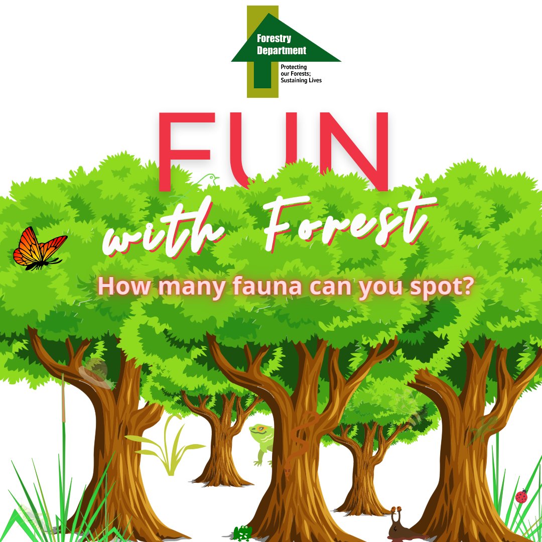 ForestryDeptJa's tweet photo. Let's have some Friday fun!
DYK: 80% of the world's known terrestrial plant and animal species can be found in forests.
How many fauna can you spot in the picture?
...
#ForestryDeptJa #forestmatter #betterwithforests #fridayfun #funwithforest https://t.co/onl8rAojsk