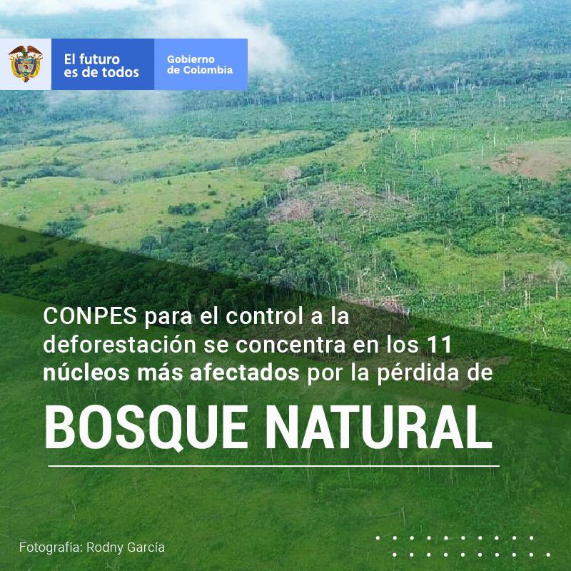 infopresidencia's tweet photo. El Consejo Nacional de Política Económica y Social (CONPES) aprobó la “Política nacional para el control de la deforestación y la gestión sostenible de los bosques”, liderada por el @DNP_Colombia y el @MinAmbienteCo. https://t.co/W8raPF6v7I