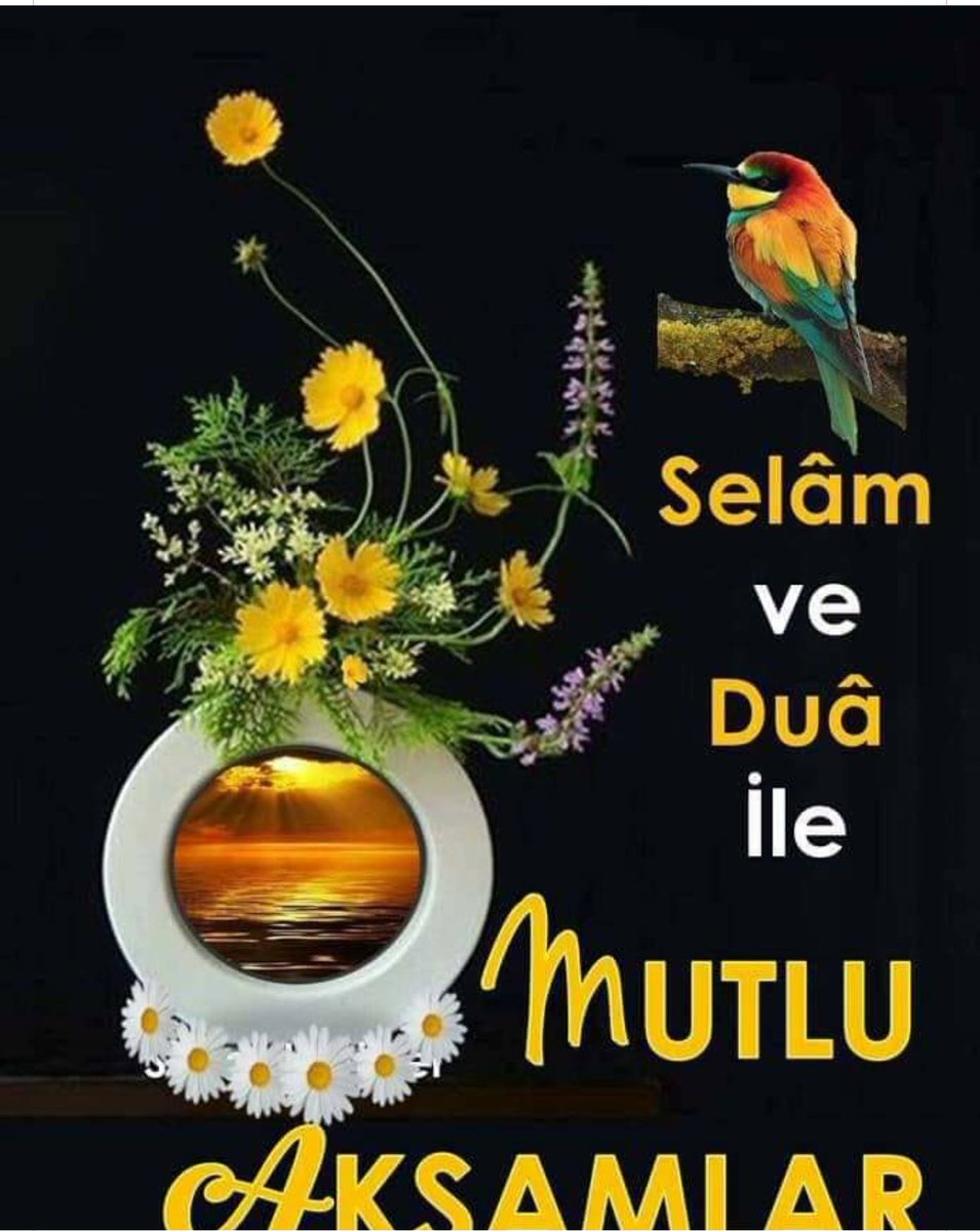 DENİZ (@denz06583388) on Twitter photo 