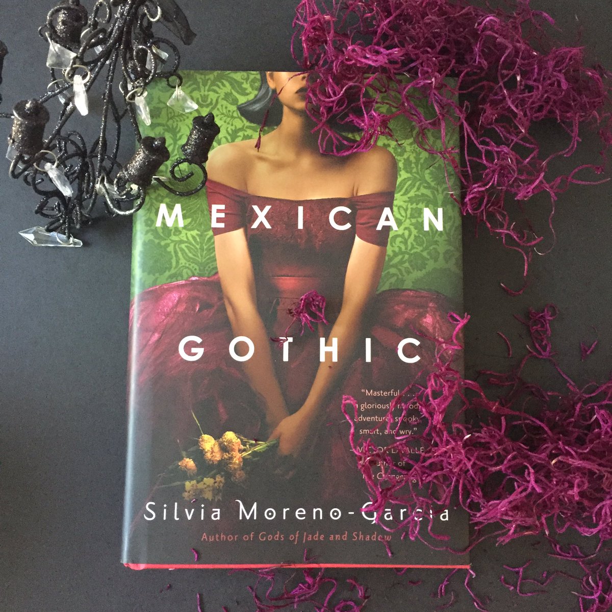 Before everything hit the fan in Washington I managed to finish reading this and it’s SO GOOD!
All the praise it’s getting is well deserved.
#mexicangothic #silviamorenogarcia
