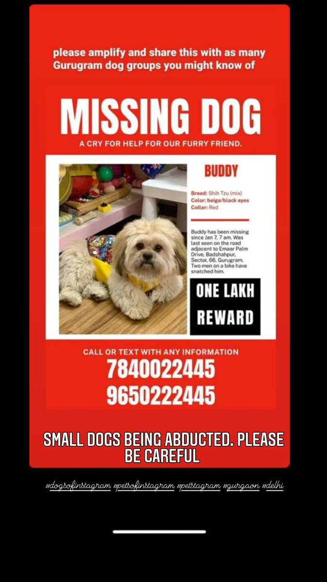 Pet lovers please spread this. We need to find this baby.
#DogsofTwittter #pets #lostdog #gurgaon# gurugram <a href="/NayantaraRai/">Nayantara Rai</a> <a href="/Suhelseth/">SUHEL SETH</a> <a href="/ggncommcircle/">Gurgaon Community Circle</a> <a href="/gurgaoncom/">gurgaoncom</a> <a href="/DC_Gurugram/">DC Gurugram</a> <a href="/gurgaonpolice/">Gurugram Police</a> <a href="/GurgaonMoms/">GurgaonMoms</a>