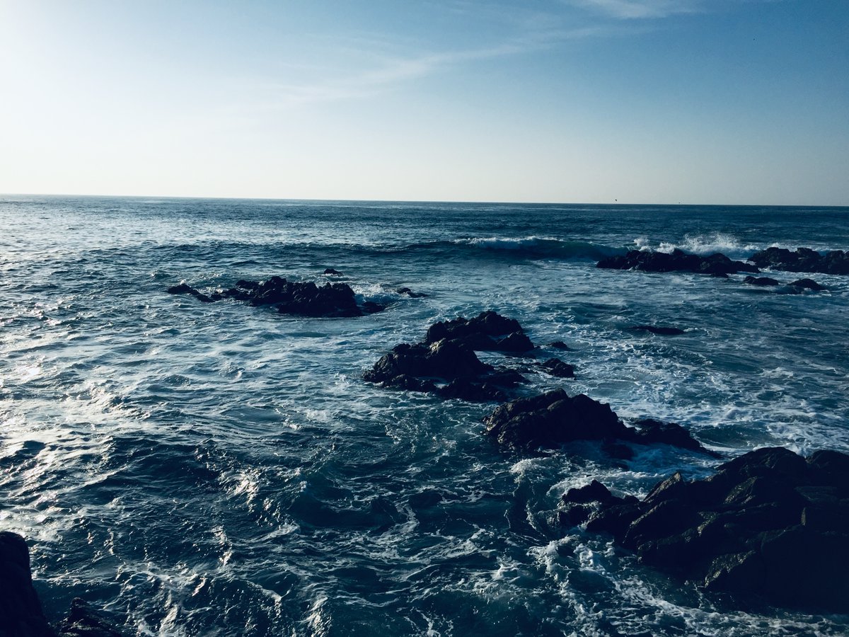 Intl. Alliance to Combat Ocean Acidification tweet media