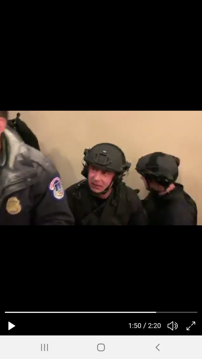 These guys look like crisis acting thugs..please comment on badges, helmets...etc. i want to know if they are fake...