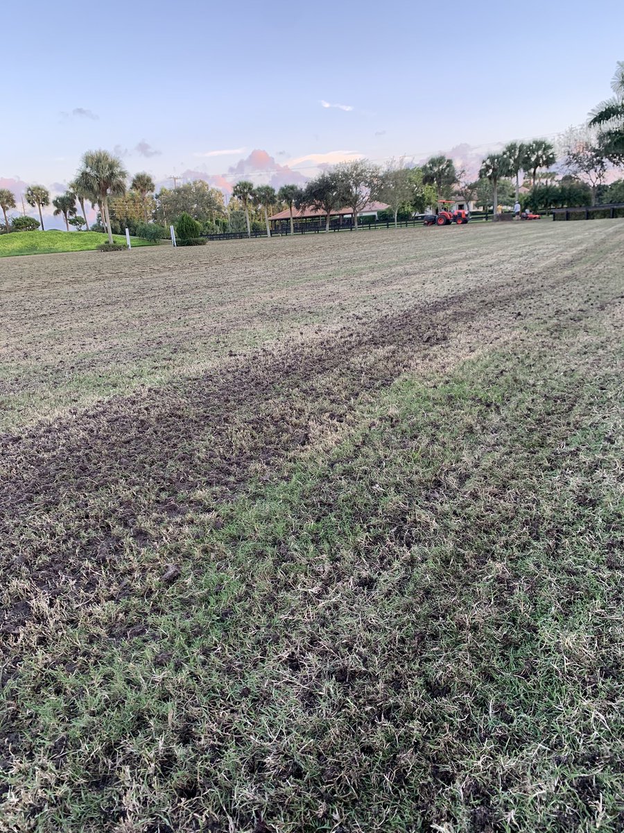 Prime Turf Management tweet media
