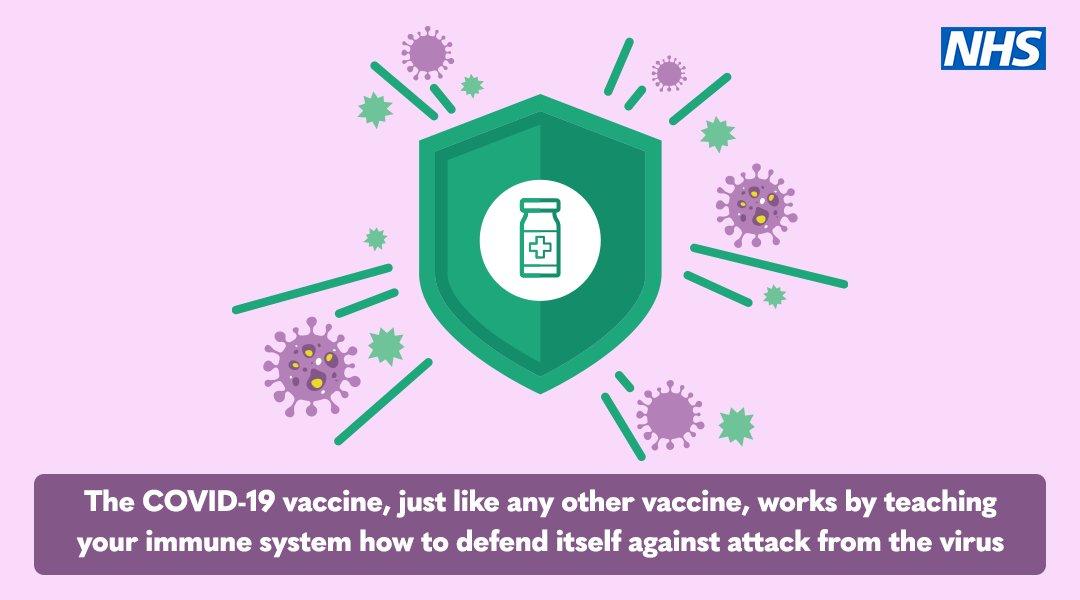 The #COVID19 vaccine teaches your immune system how to defend itself against the virus.

This works just like any other vaccine.

For more information, visit: bit.ly/Covid-19Vaccin…