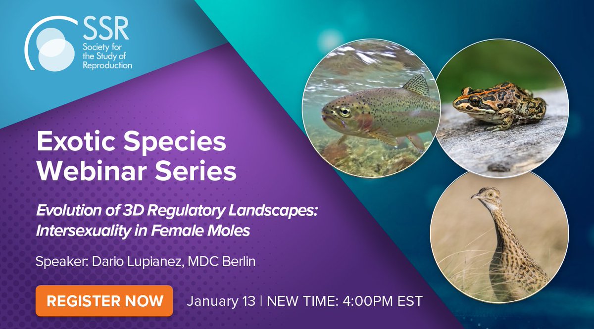 SSRepro's tweet photo. Join us for the next #webinar in our Exotic Species Series! Register now to learn about #intersexuality in female moles.
📅 1/13 @ 4pm ET
🗣️ Pierre Commizoli &amp; Dario Lupianez
🙋 Save your spot! https://t.co/QWysinijov
#biology #reproduction https://t.co/QMag6IoYzS