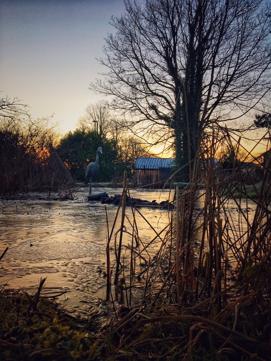 lilsteve79's tweet photo. Winter mornings looking over a frosty pond at @DyfanMerthyr cemetery #pond #wintersum #frosty https://t.co/7pzZGiBNJF