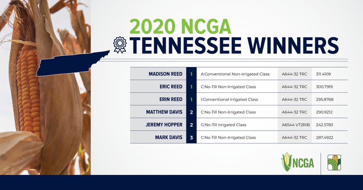 AgriGold's tweet photo. Last but certainly not least, we're happy to round out our 2020 @NationalCorn Yield Contest state winner announcements with the great state of Tennessee! Please help us congratulate #YieldMasters Mark & Matthew Davis, Jeremy Hopper, Eric, Erin & Madison Reed on their state wins! https://t.co/lPelEGxDmJ