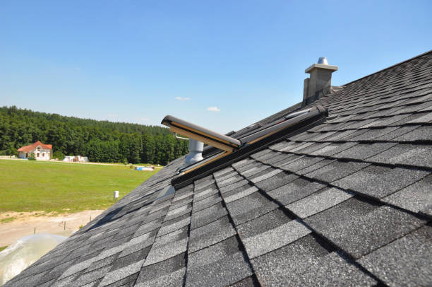 If you could replace your current roof with a different material, what would you choose?