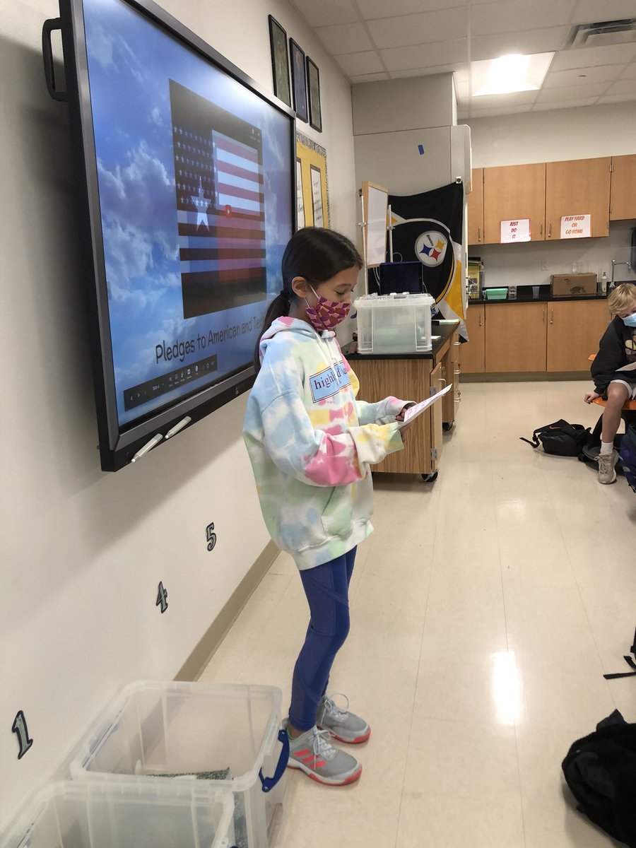 Laura Stager tweet media