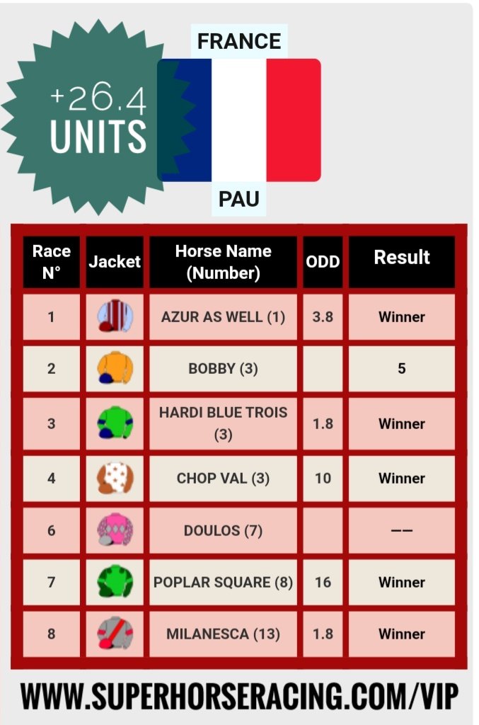 Super Horse Racing Tips tweet media