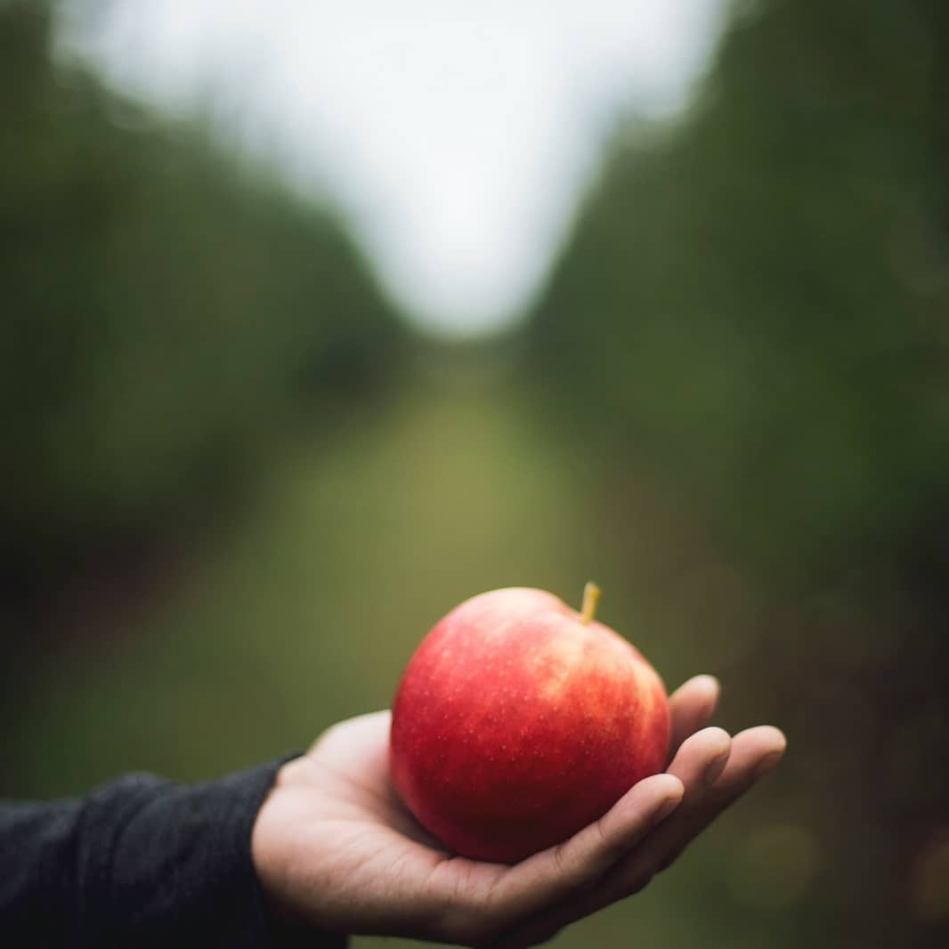 ✅Este 2021 NO podemos tirar por la borda el esfuerzo de agricultores, ganaderos y pescadores que trabajan para que tengamos los mejores @Alimentacion_es y para que seamos el #ElPaísMásRicodelMundo.
➡️Reduce el desperdicio alimentario con las 4R
#MásAlimentoMenosDesperdicio