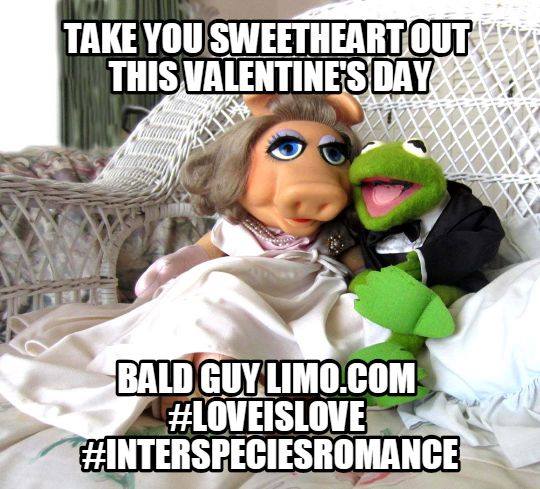 BaldGuyLimo tweet media