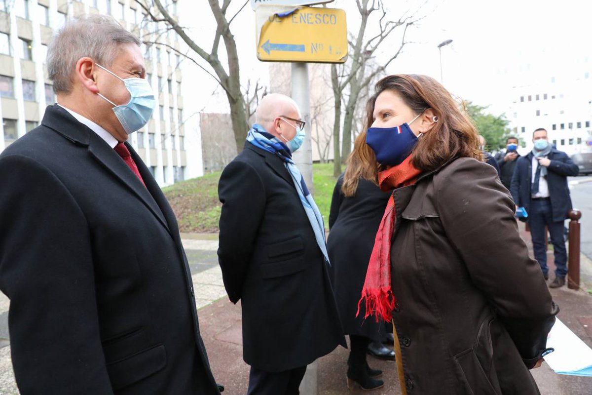 Roxana Maracineanu tweet media