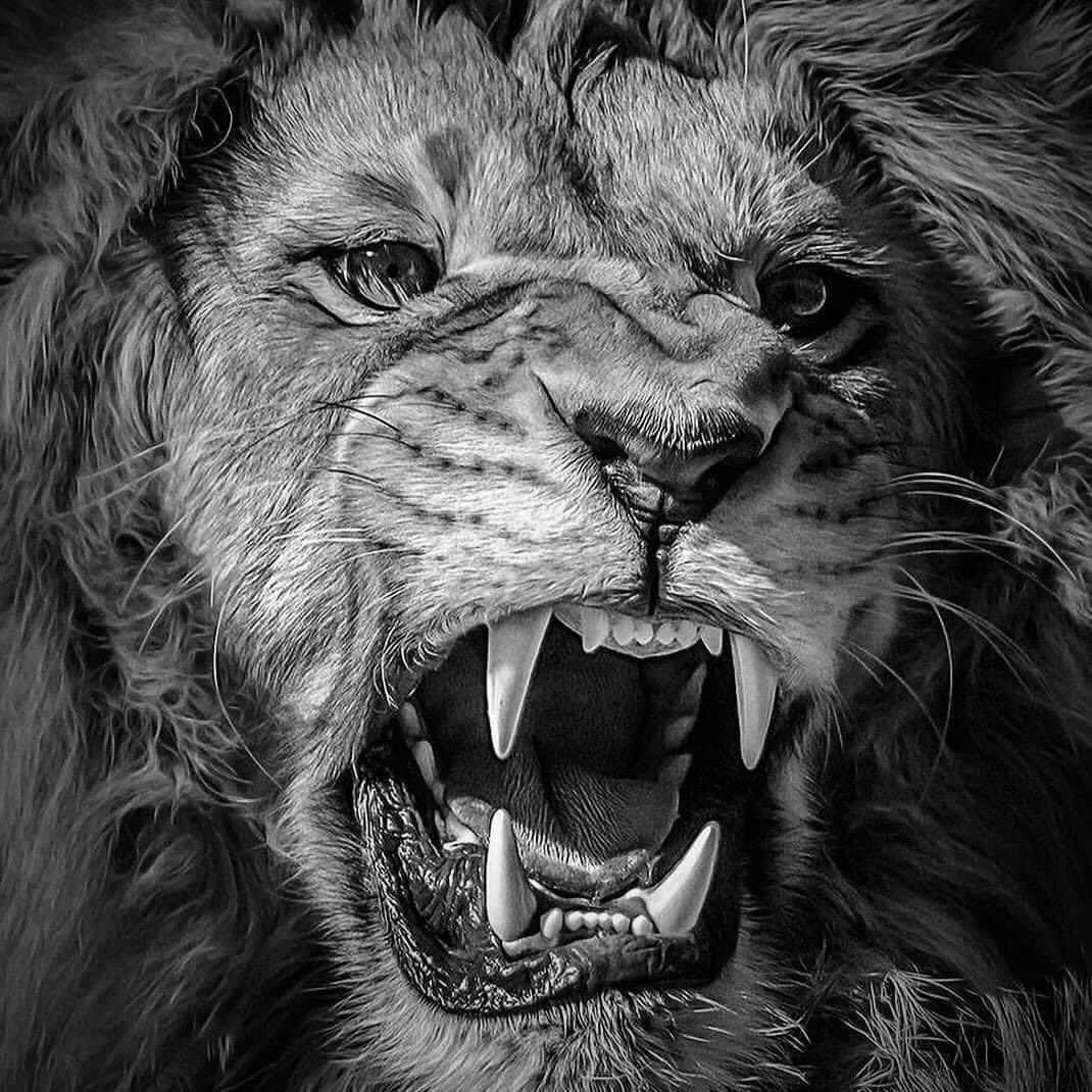 VoteRed53's tweet image. @GOP @GOPChairwoman I will never donate another penny to your party ! And I am pretty sure there are about 75 Million people that feel the same way I do ! I will be registering as an independent from now on !