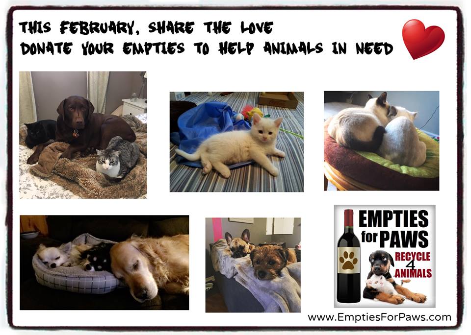Share the Love. Donate empty beer, wine/liquor bottles. Organize bottle drive between family/friends/coworkers collect 4 favorite animal rescue. Find bottle drives lists on emptiesforpaws.com  Donate empties all year not just Feb. Over 570K raised since 2015 #Recycle4Animals