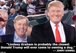 moontango3's tweet photo. @PalmerReport @LindseyGrahamSC @realDonaldTrump https://t.co/30ZaaKHyz2