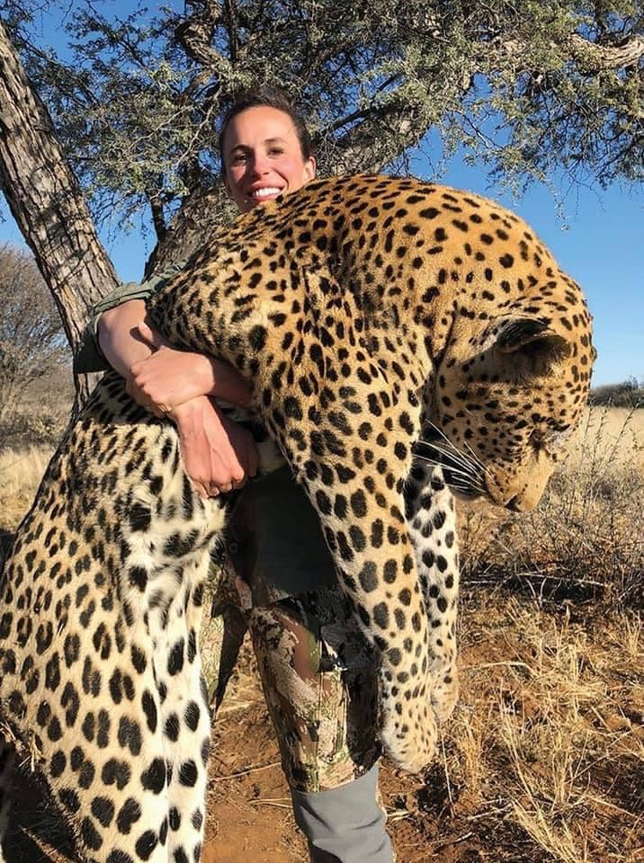 Voici Brittany Longoria, elle a tué ce léopard mâle à son apogée. Selon SCI (Safari Club International), ce léopard est potentiellement le 9e plus grand léopard jamais chassé.