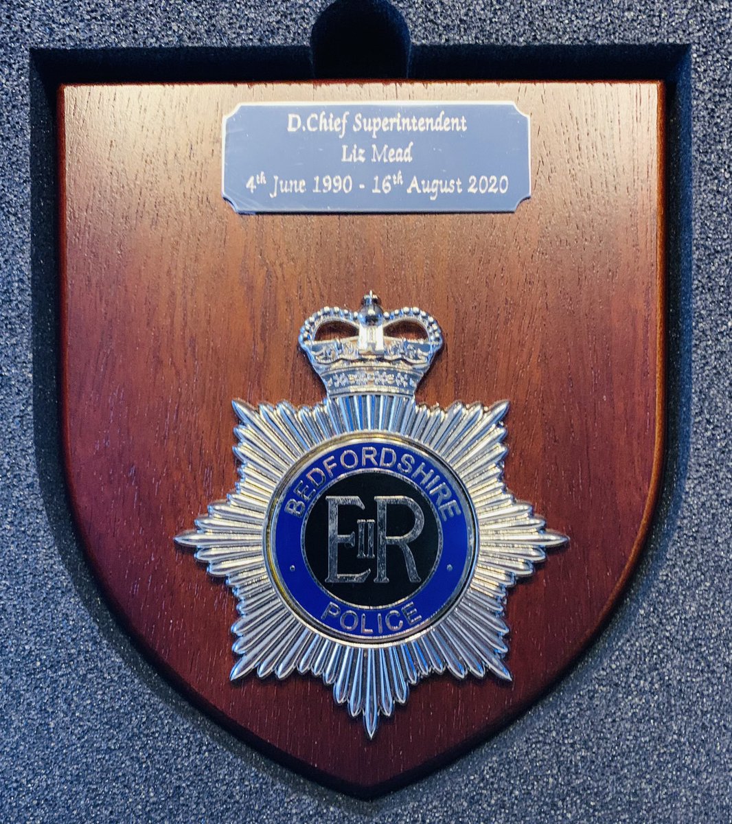 Liz Mead tweet media