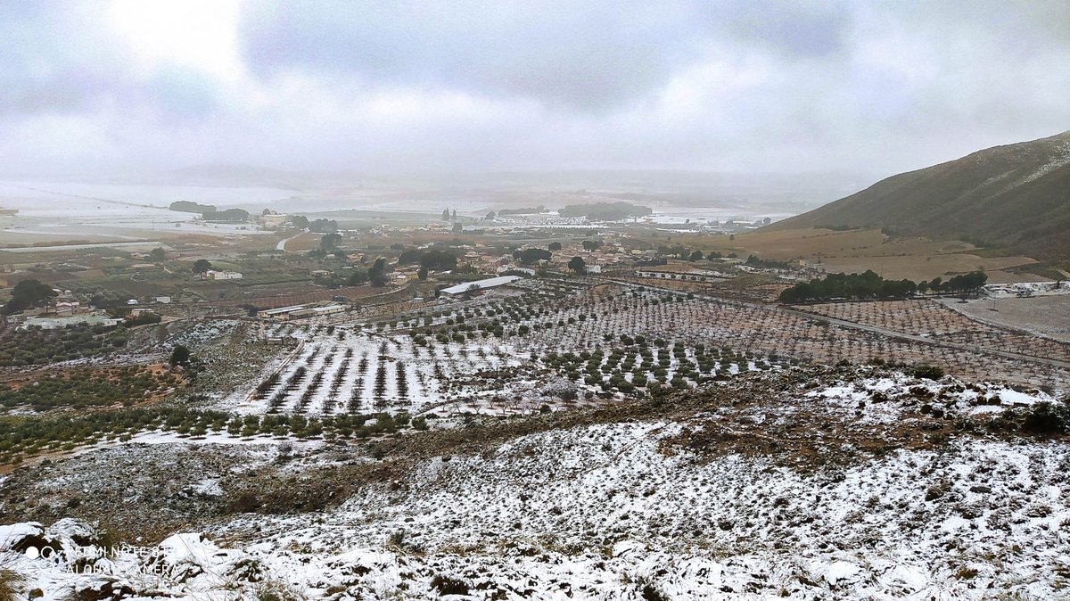 aavvsierra's tweet photo. Las nevadas de hoy nos dejan estampas como esta en nuestra pedanía. ¡Hilo con las imágenes! ⬇️ https://t.co/zTflMgFbig