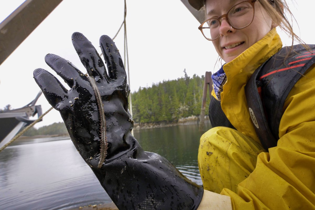 And the worms! All shapes, sizes, and colours of worm wriggle out from under and between the collection of bones./14