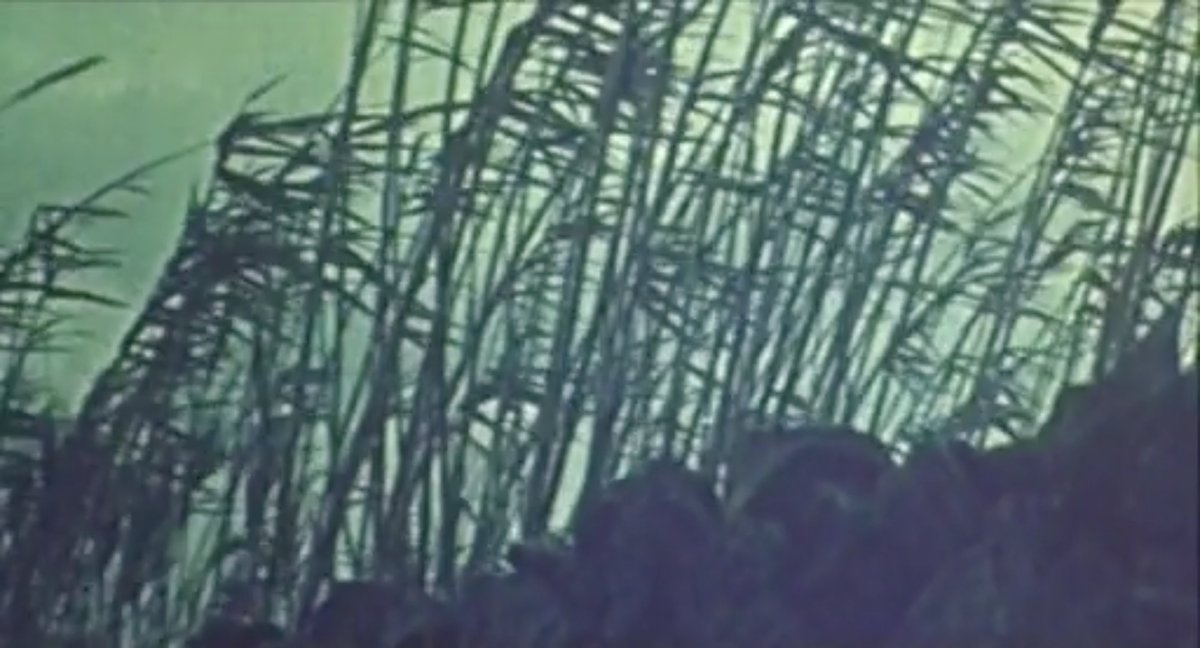 CALIGULA'S SLAVES (Onorati, 1984)