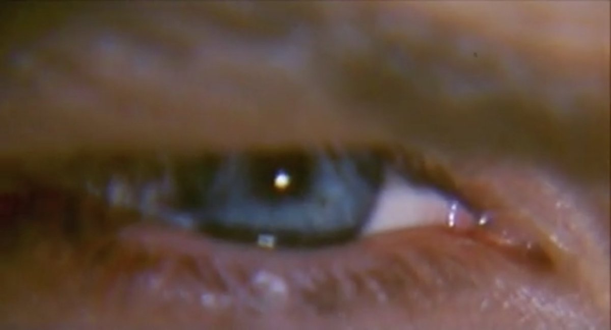 CALIGULA'S SLAVES (Onorati, 1984)