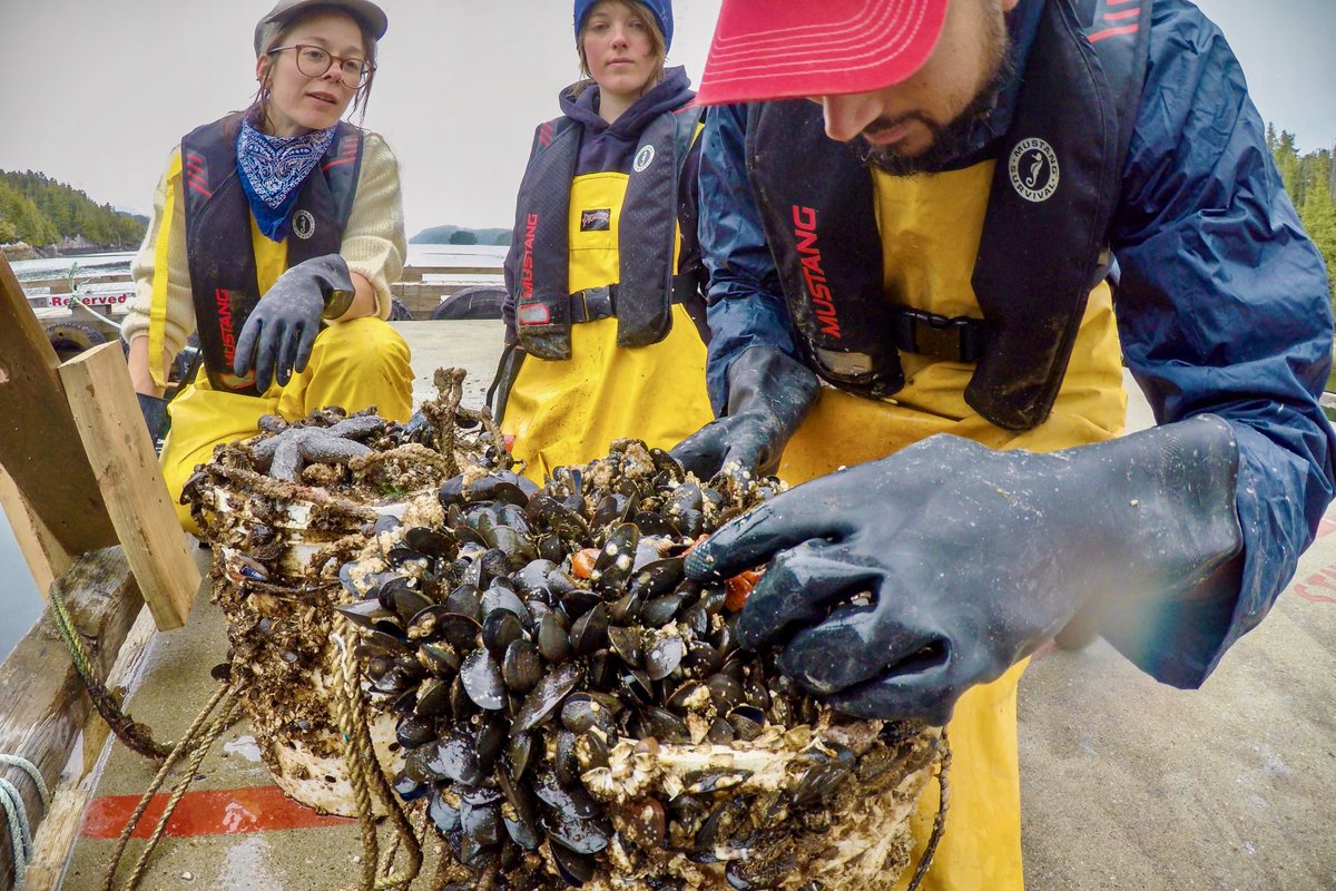 A thick layer of mussels, countless barnacles, and strings of seaweed cover both the bones and surrounding net. But that’s just the beginning./3