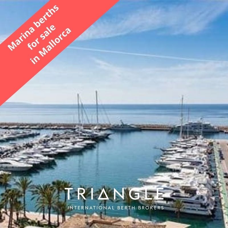 Triangle Berth Brokers tweet media