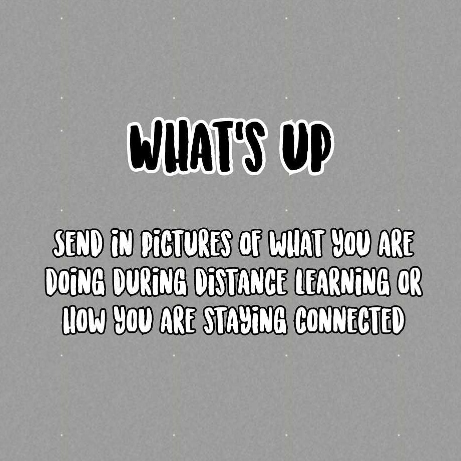 ZHS Yearbook tweet media