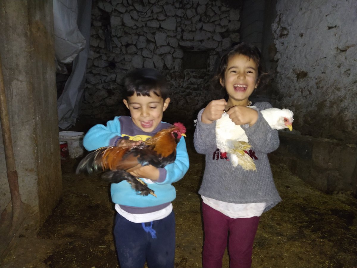 Hasan hüseyin Kaya (@hasanhs81872748) on Twitter photo 