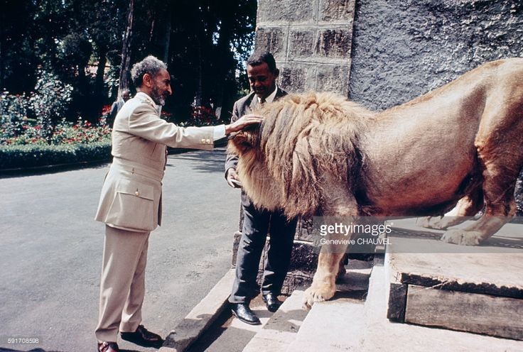 T_P212's tweet photo. Selassie 🙏🏾 https://t.co/2leZD6nGfK