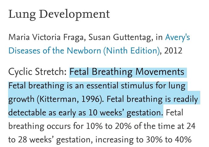 22. In fact, their lungs are present—the fetus begins breathing movements at 10 weeks’ gestation—but that’s another topic.  https://bit.ly/3bXkQd2&nbsp;