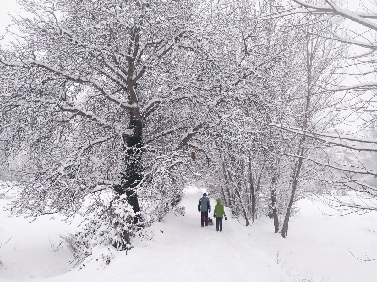 ¿Quién se resiste a una #ruta pisando #nieve recién caída en este paisaje? Como estamos disfrutando del #senderismo estos días por la #SierraDeAlbarracín (#Teruel). #deporteEnAltitud #EntrenamientoEnAltura #ponteFuerte #airePuro #desconexión #EspaciosAbiertos #naturalezaenvivo