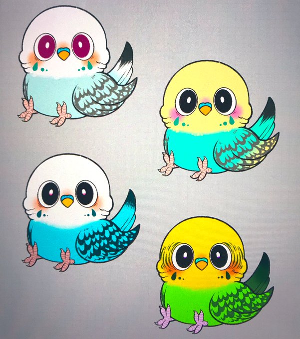 インコのtwitterイラスト作品