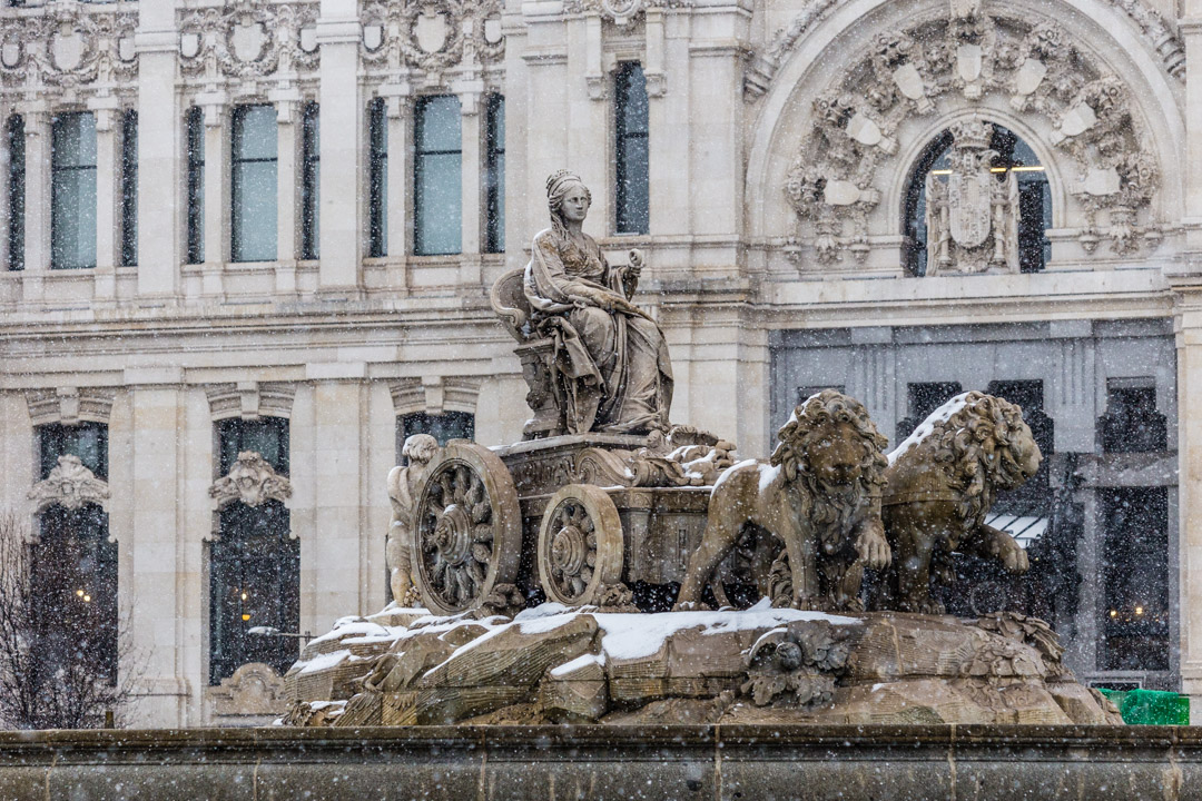 DriveMeFoody's tweet photo. Qué bonita es Madrid con nieve!
#nieveenmadrid #nievaenmadrid #snowinspain #snowyspain #snowspain #drivemefoody #snowinmadrid #snowmadrid #cibeles #metromadrid #campodelmoro https://t.co/aZl4ZlRpRU