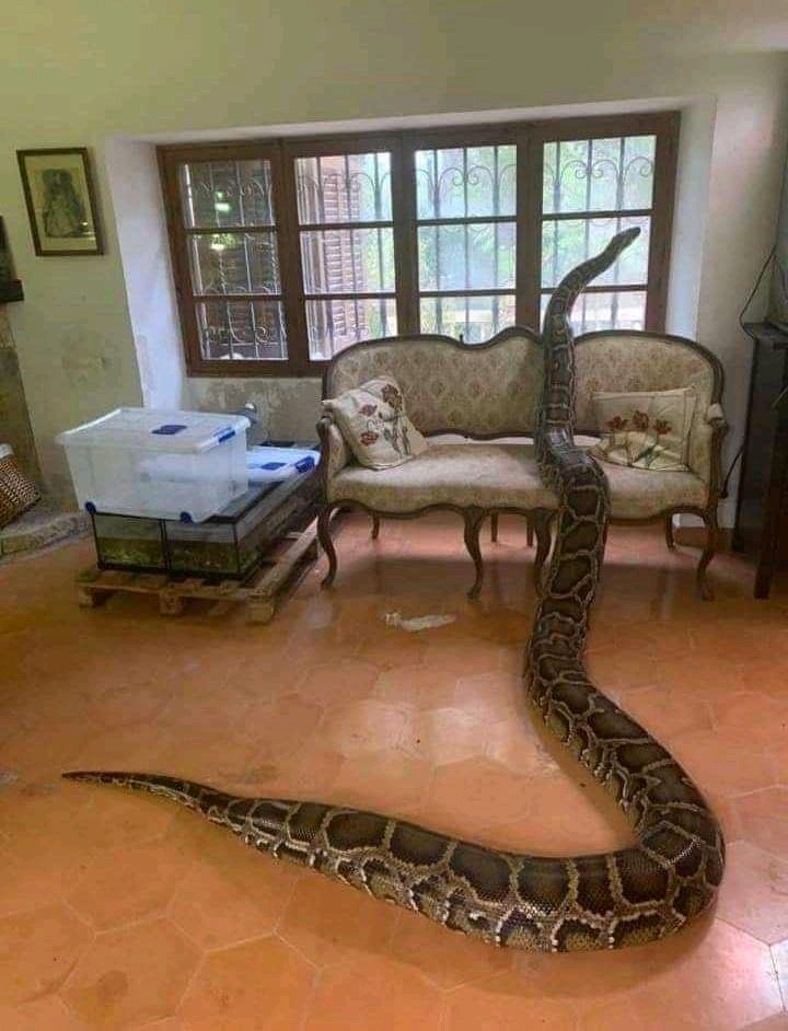 #2020BlackTwitterAwards
🤔😣😭🤣🤣
Wrong room