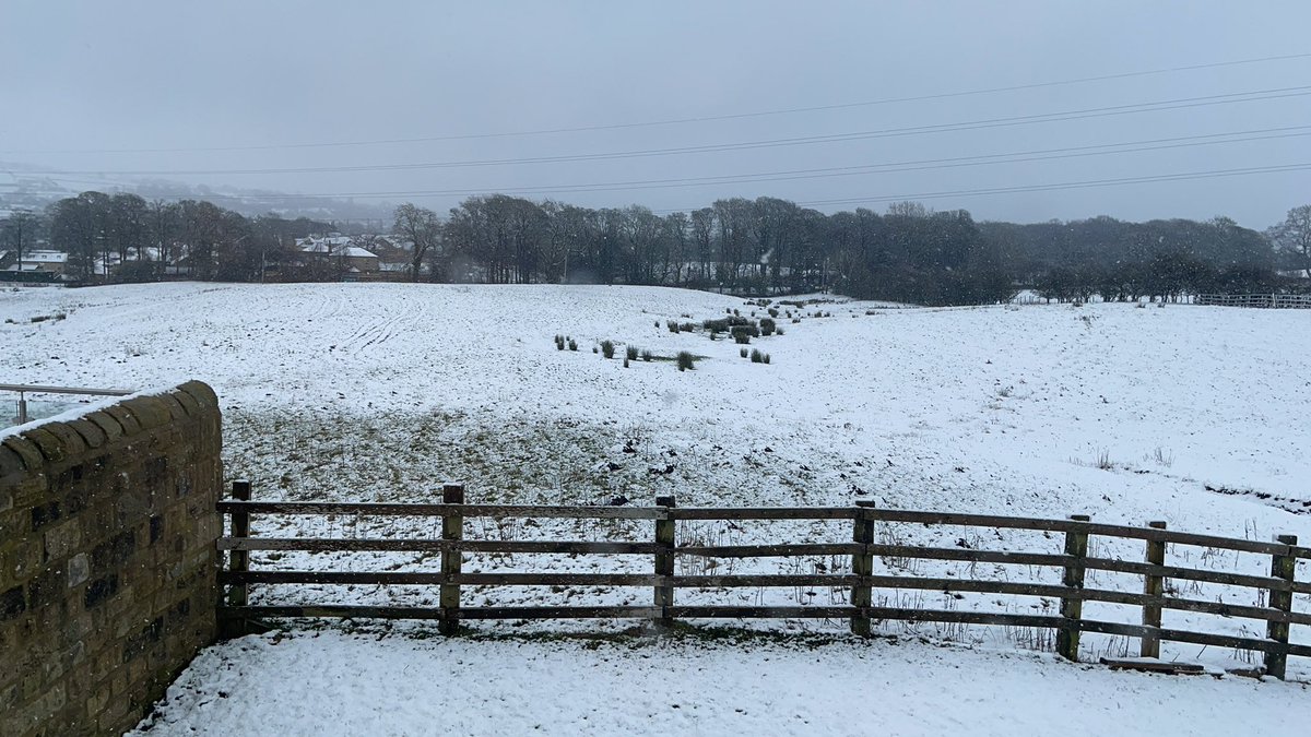 IainMacBeath's tweet photo. Snowy throughout the day up in Menston. #workingfromhome #freezerisfull #uksnow #snowmantomorrow ☃️ https://t.co/haaxEhtvmX